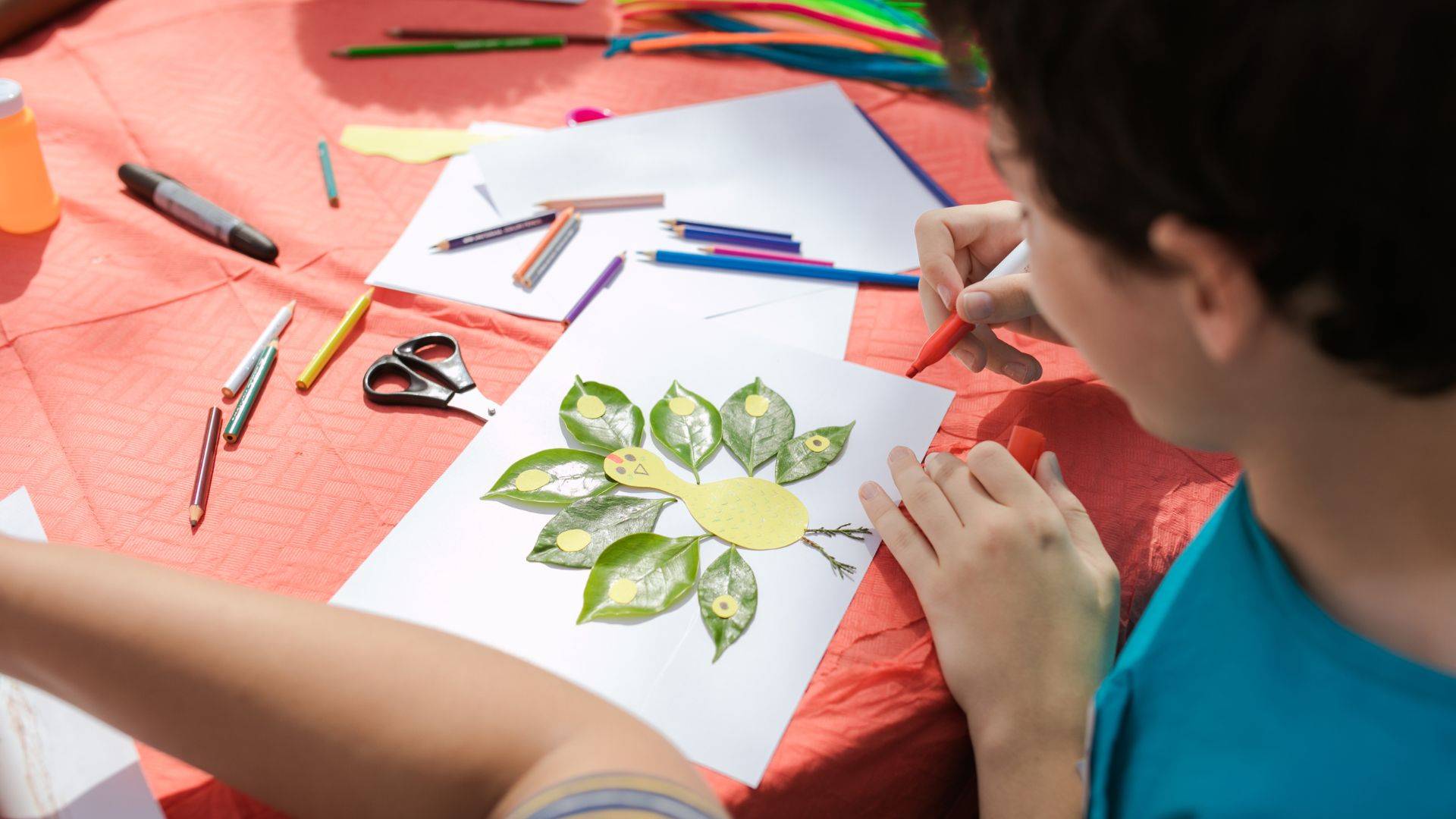 Drawing Fundamentals